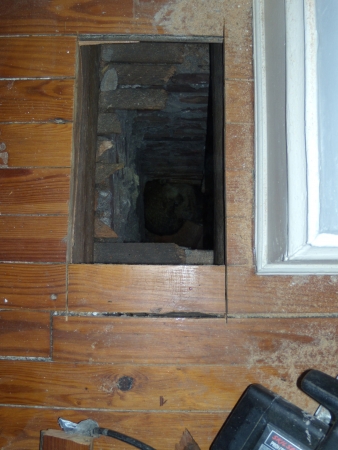 Raccoon-Under-Floor-Norfolk.jpg