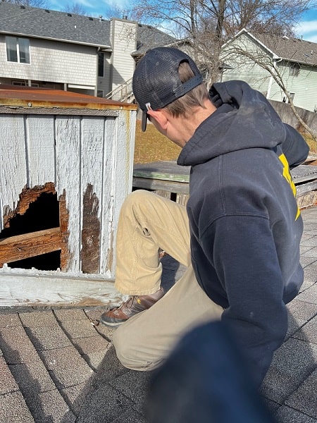 peter-raccoon-inspection-columbia-MO-min.jpg