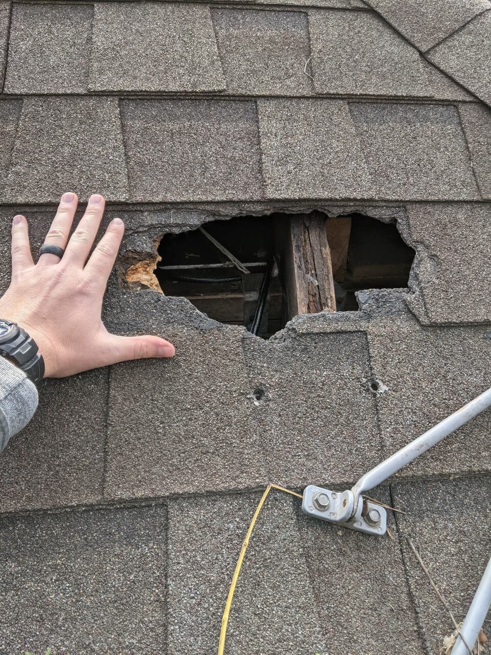 raccoon-hole-roof.jpg