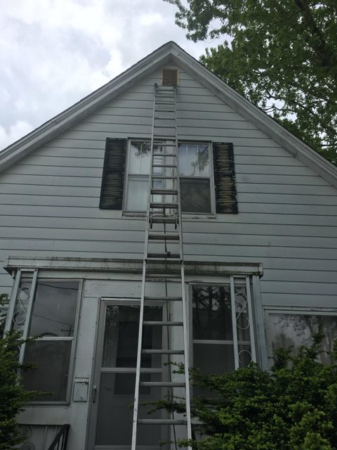 Squirrel Repair vents ladder work