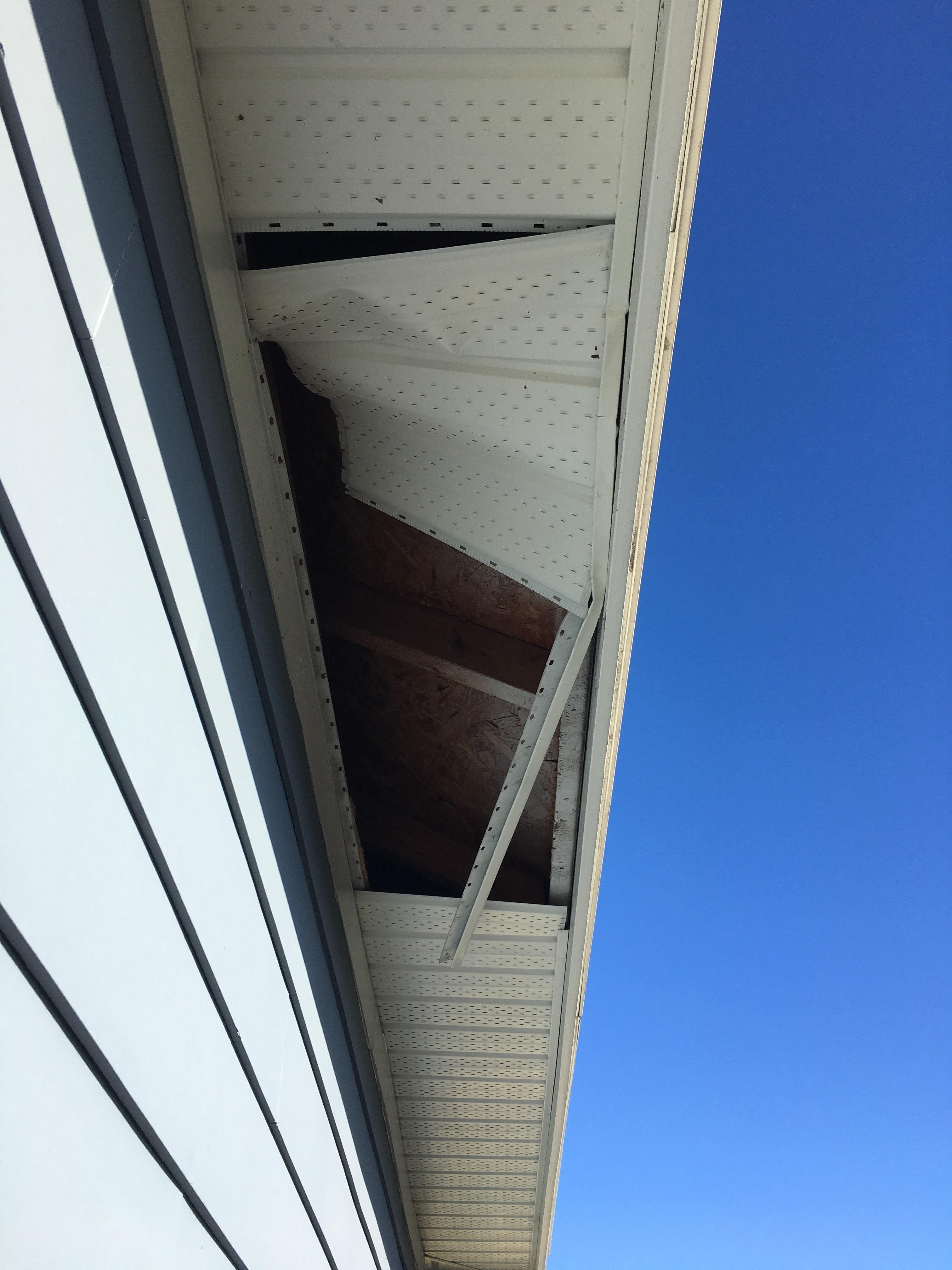 image of Raccoon Damage to Soffit
