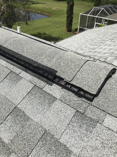 bat entry point on roof ridge